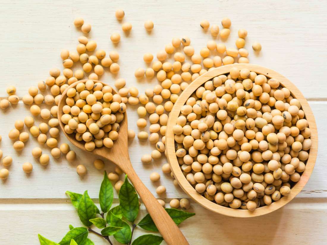 Soyabean Plant Protein Market