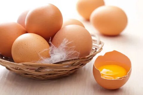 Egg and Egg Products Market