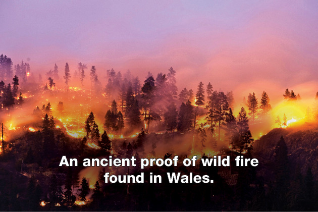 An ancient proof of wild fire found in Wales.