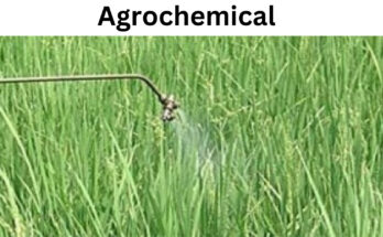 Agrochemical Market